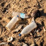 Playa contaminada en España con aguas sucias y residuos en la arena