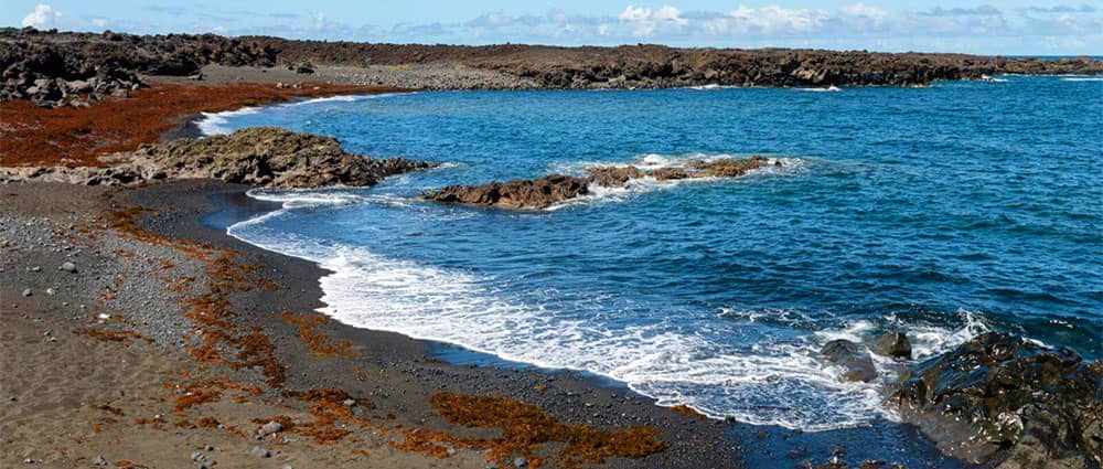 Playas de arena negra en España: La playa Las Malvas Tinajo en Fuerteventura
